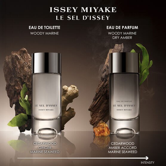 PERFUME ISSEY MIYAKE LE SEL DISSEY MASCULINO EAU DE PARFUM